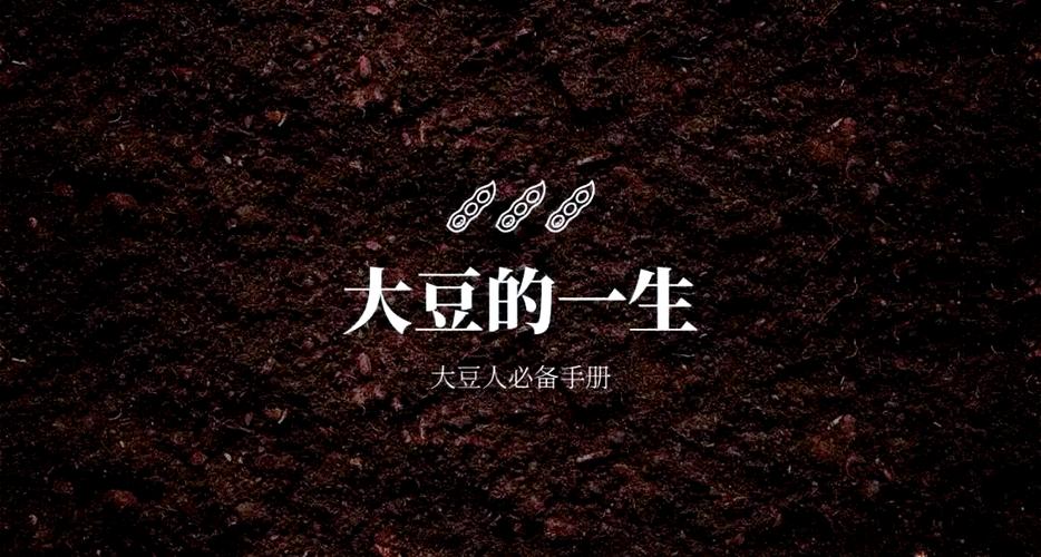 梦见种黄豆的深意解析隐藏的命运预示与生活启示