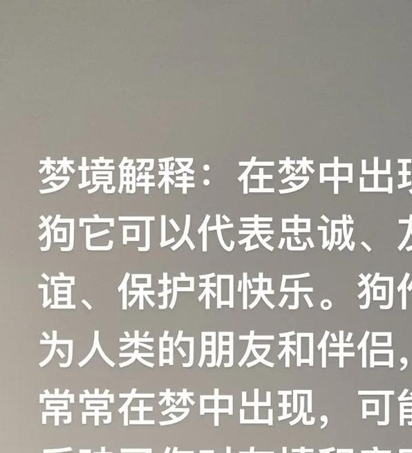 梦见黑狗象征哪些？深度解析其对生活的潜在影响