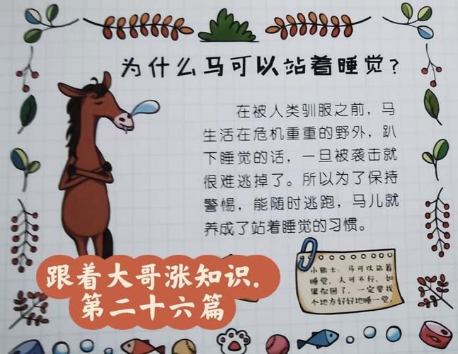 梦见马具意味着哪些？解读睡眠中隐藏的心理暗示