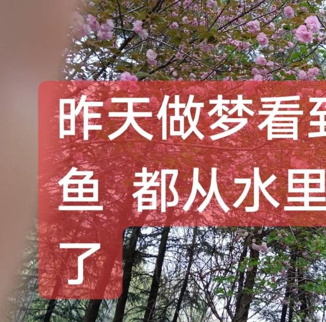 梦见鲢鱼代表哪些寓意？深入解析背后的心理象征