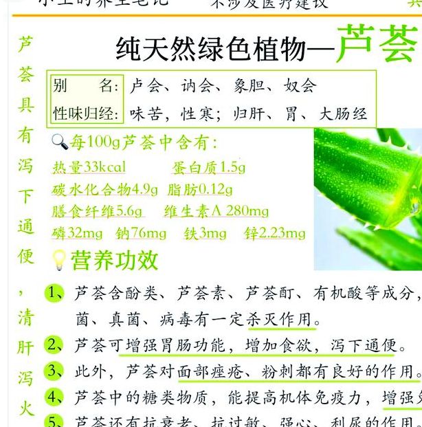 梦见芦荟解析揭示5个健康与运势的权威信息