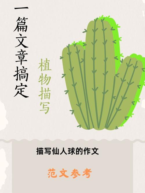 梦见仙人球解析3大心理暗示与人生启示