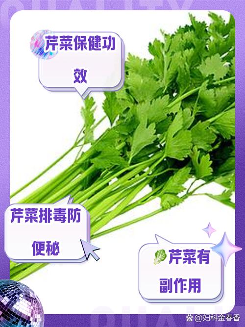 梦见西芹的寓意揭秘梦境中的健康预兆是哪些？