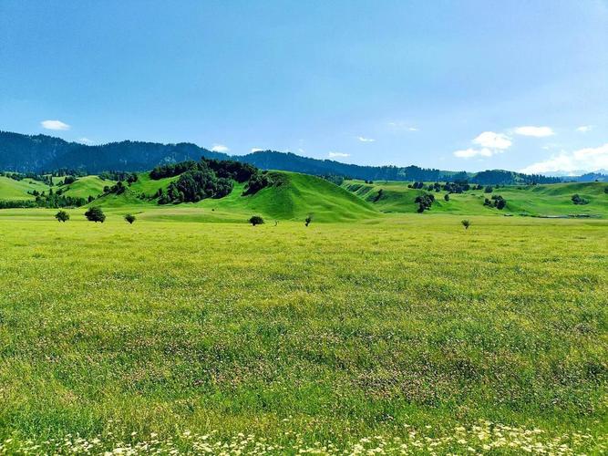 梦见大草原的深层心理解析及其象征意义探索