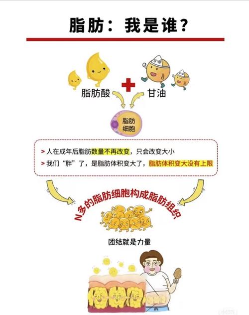 梦见油脂象征意义解析健康与财富的潜在关系