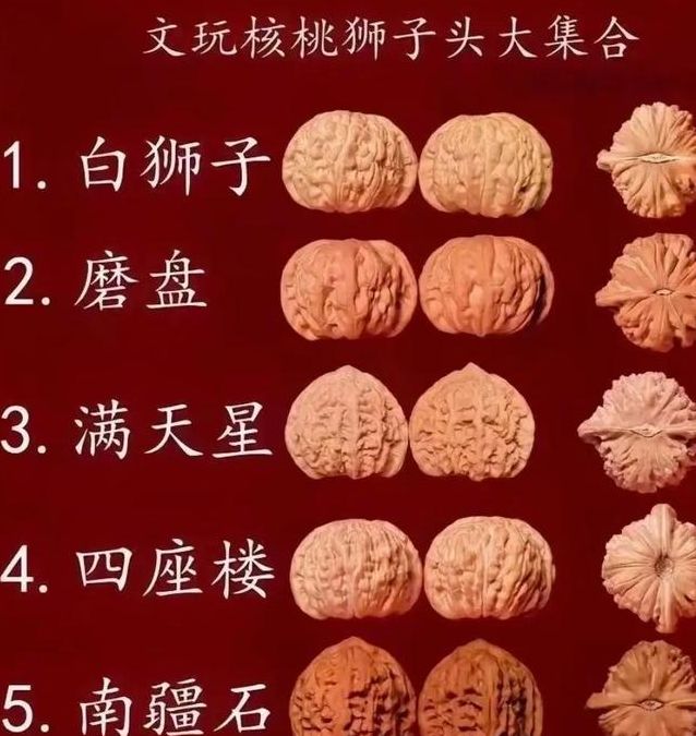 梦见核桃树预示哪些？解读梦境背后的隐含意义