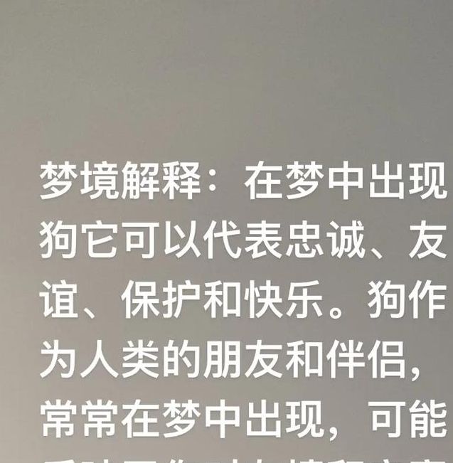 梦见黑狗的神秘预示，解读你潜藏的内心秘密！