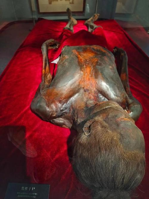 梦见干尸意味着哪些？深入解析与心理状态的关系