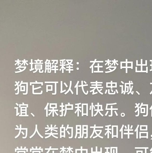梦见猎狗的5个象征含义，揭示心理与生活影响