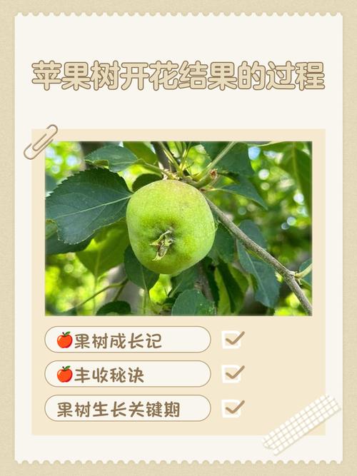 梦见果园象征哪些？解析梦境意义与心理暗示