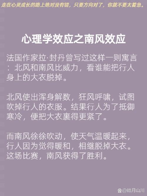 梦见强风意味着哪些？解密背后的心理暗示与预兆