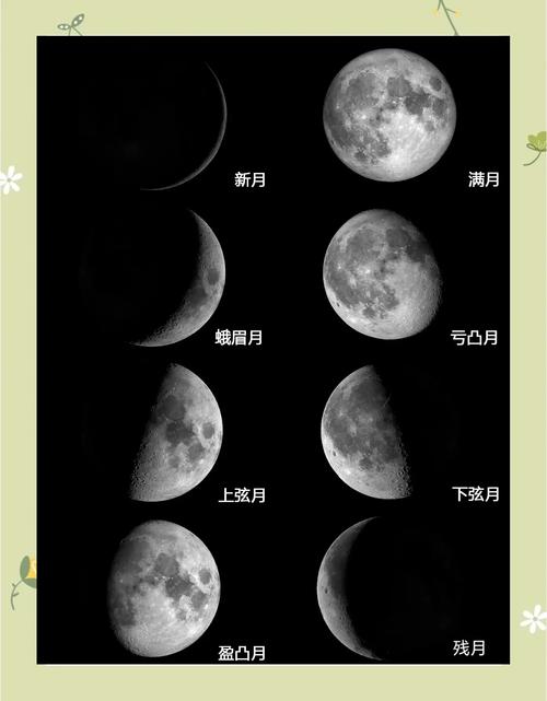 解梦指南月亮挂树梢的5个象征意义与影响