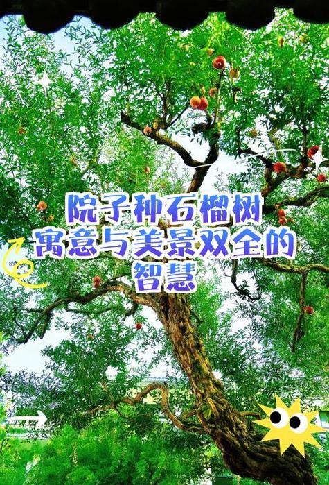 梦见石榴树揭示其独特寓意及高效解梦方案