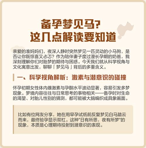 梦见小马 vs 梦见大马探究梦境背后的心理暗示