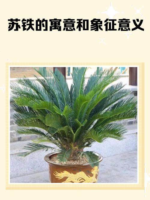 梦见铁器象征哪些预兆？详解其背后蕴含的心理与生活影响