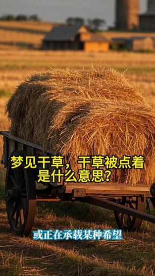 梦见干草解析心理释义 vs 现实启示，揭示内心深层信息