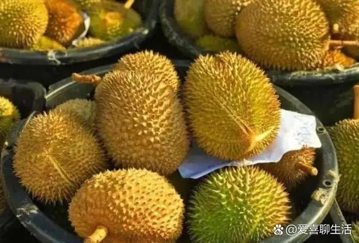 解梦揭秘梦见榴莲象征哪些?高效解析心灵信号 解梦揭秘梦见榴莲象征哪些?高效解析心灵信号