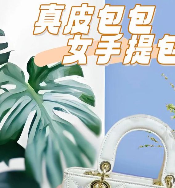 梦见手提包代表哪些?Anna的高效解决方案解析 梦见手提包代表哪些?Anna的高效解决方案解析