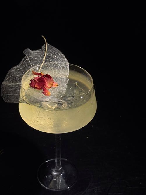 梦见苦艾酒寓意解析揭示梦境背后的心理暗示与影响