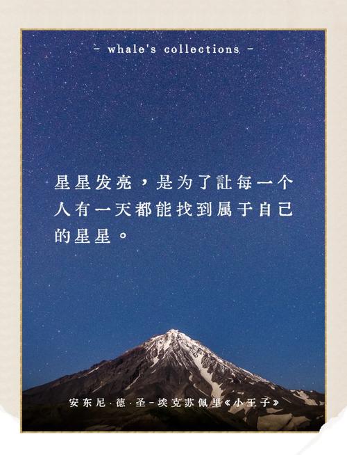 梦见星星入怀的深刻寓意解析及生活启示