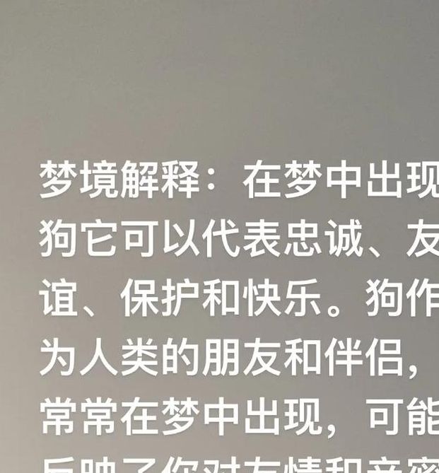 梦见小动物解读背后寓意及高效解决方案 梦见小动物解读背后寓意及高效解决方案