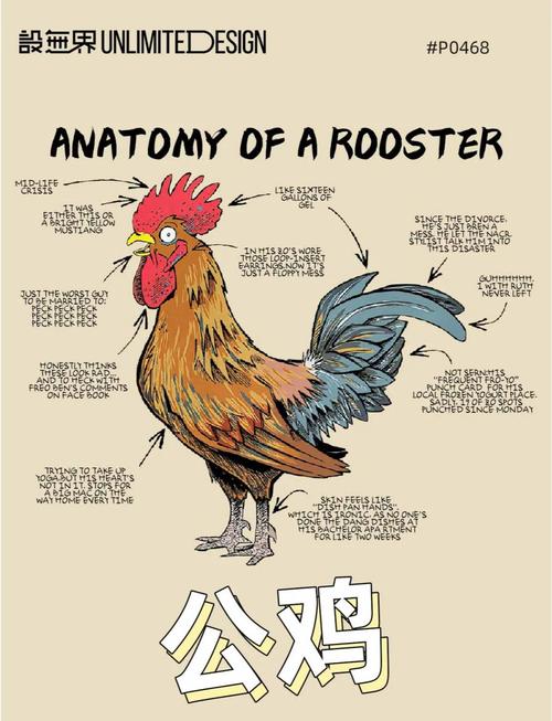 梦见被公鸡啄?解读8种常见梦境象征意义 梦见被公鸡啄?解读8种常见梦境象征意义