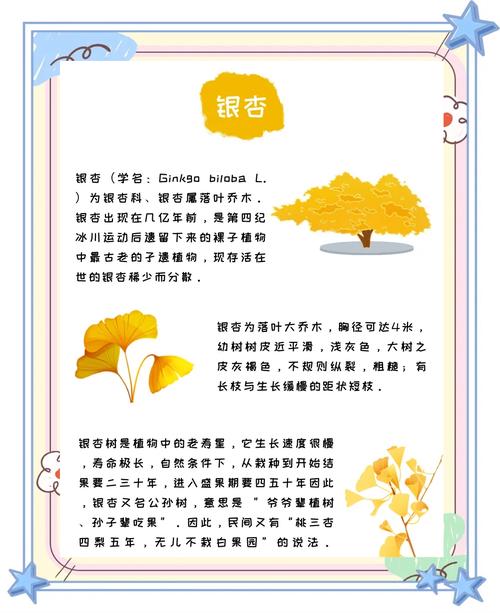 揭秘银杏树叶梦境中的深层心理如何解读内心信号? 揭秘银杏树叶梦境中的深层心理如何解读内心信号?