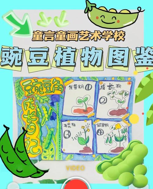梦见豌豆苗象征意义解读与潜在心理暗示分析 梦见豌豆苗象征意义解读与潜在心理暗示分析