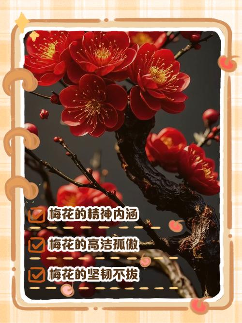 梦见梅花解析精神象征与生活启示对照分析