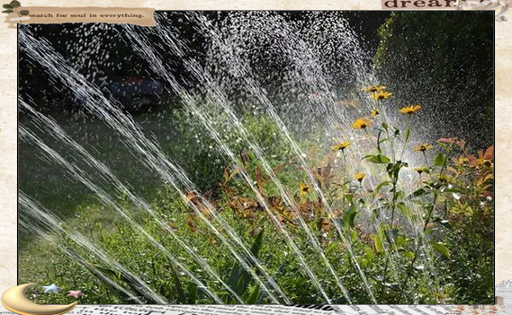 梦见浇水的真实寓意揭秘5种心理学解读与专家建议