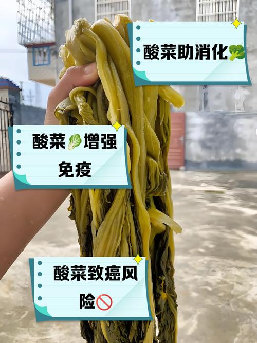 梦见酸菜象征哪些？探索心理解析与健康小贴士