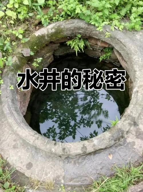 梦见挖井的寓意解析是吉兆还是警示?深度分析揭秘 梦见挖井的寓意解析是吉兆还是警示?深度分析揭秘