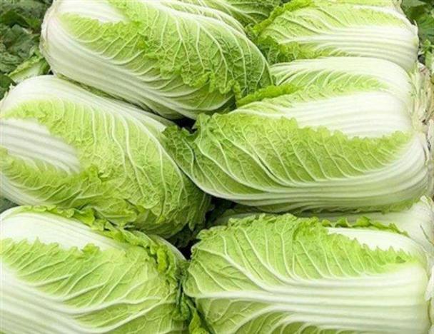 梦见白菜地代表哪些？揭示其隐藏寓意及心理解析