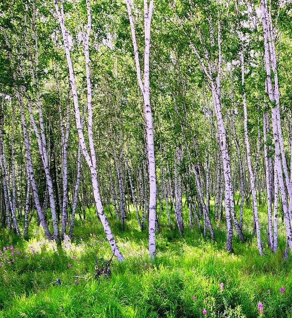 梦见打谷脱粒深度解析与生活影响,用户探索梦境的隐秘力量! 梦见打谷脱粒深度解析与生活影响,用户探索梦境的隐秘力量!
