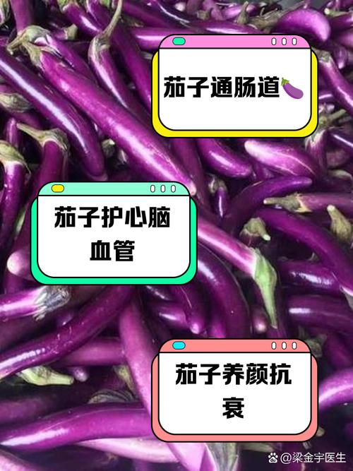 梦见茄子的含义解析解梦专家带你深入了解背后寓意 梦见茄子的含义解析解梦专家带你深入了解背后寓意