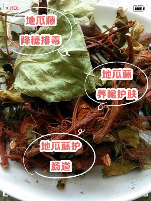 解梦梦见瓜藤隐藏的秘密寓意，你知道多少？