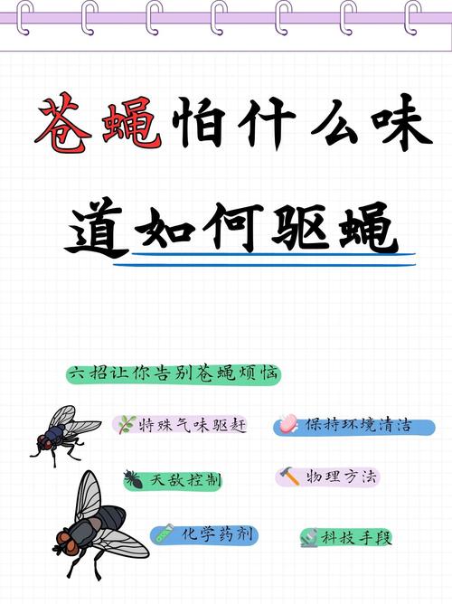 梦见很多苍蝇代表哪些心理暗示？如何应对梦境困扰？