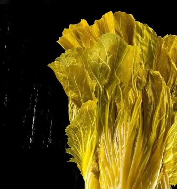 梦见酸菜有何寓意?解析梦境心理影响及其生活启示 梦见酸菜有何寓意?解析梦境心理影响及其生活启示