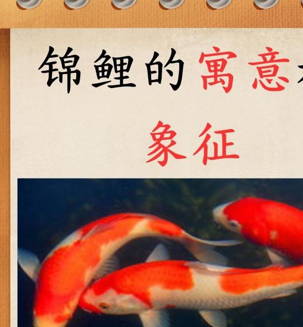 梦见红鲤鱼预示着哪些？专家揭秘其背后的秘密