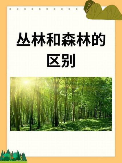 梦见树林解析自然灵感与内心安宁的对比分析 梦见树林解析自然灵感与内心安宁的对比分析