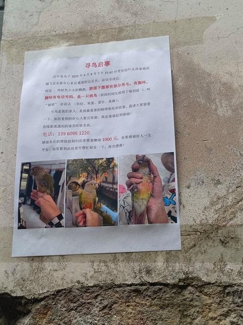 解读梦见街道海报张贴者的5种象征含义 解读梦见街道海报张贴者的5种象征含义