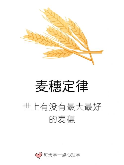 揭秘梦见拾麦穗的深层心理含义，掌握解梦技巧提升生活幸福感
