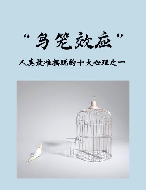 梦见鸟嘴铳的神秘象征与象征意义，深入解读心理暗示！