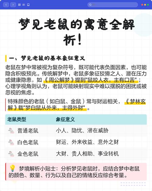 梦见老鼠揭示梦境含义及5种心理影响分析