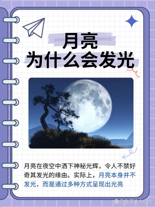 梦见月光解析高效解决方案如何解读梦境奥秘? 梦见月光解析高效解决方案如何解读梦境奥秘?