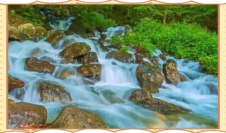 梦见竹筏象征人生旅程，深入解读梦境背后的心理暗示