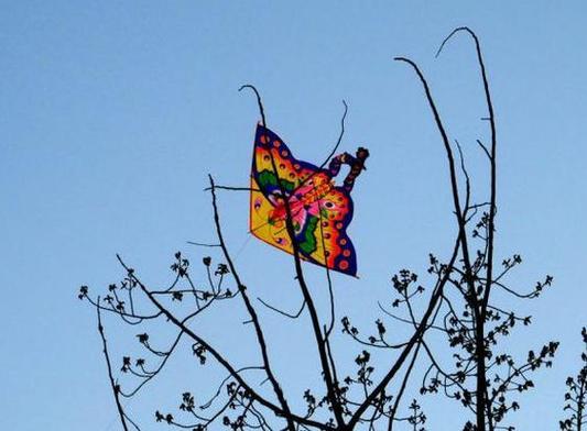 解读梦见风筝断线的5个心理象征与专家建议 解读梦见风筝断线的5个心理象征与专家建议