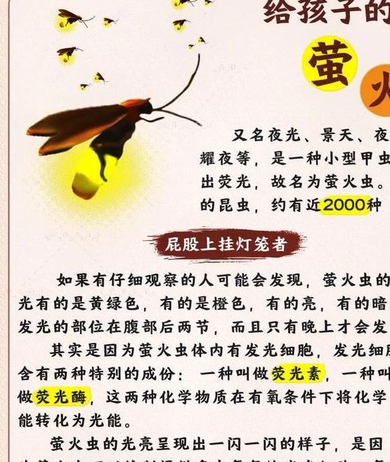 如何解读梦见萤火虫的深层含义及心理启示 如何解读梦见萤火虫的深层含义及心理启示