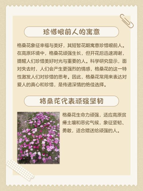 10种梦见采花的解读及应对方法，深度剖析背后寓意