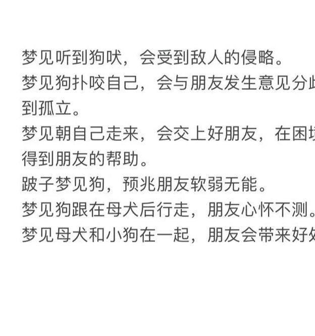 梦见狗被打解析5个潜在心理和生活影响